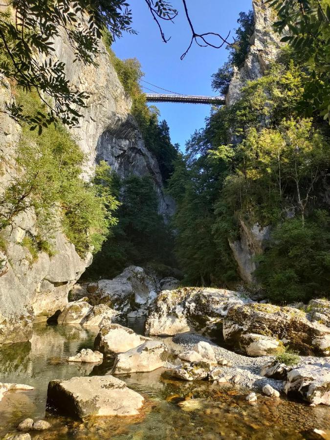 Entre Lacs Et Montagnes Cusy المظهر الخارجي الصورة